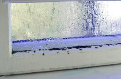 Veneo – Ventanas PVC ¿Cómo eliminar la condensación en ventanas?